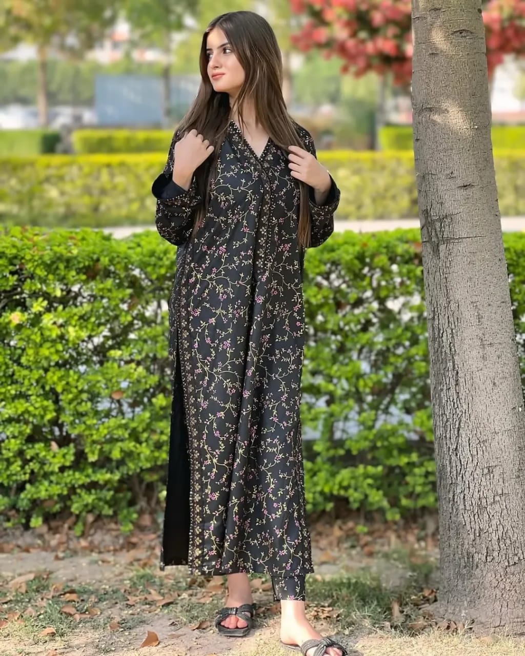 Haya